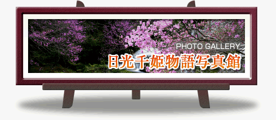 日光千姫物語写真館