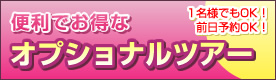 ゆったり快適バスで行く半日オプションツアー
