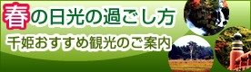 春の日光の過ごし方